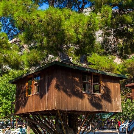 Отель Gorge Club Saklikent Номер фото