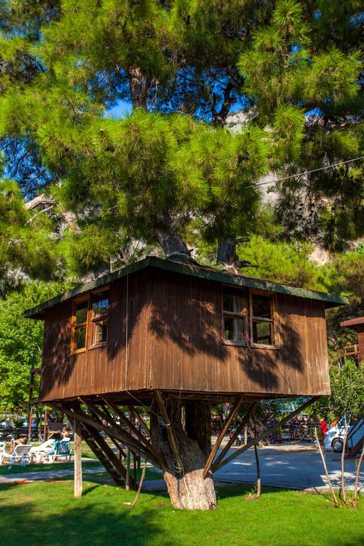 Отель Gorge Club Saklikent Номер фото